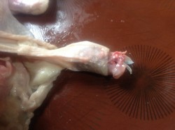 название картинки Курица запеченная мраморная