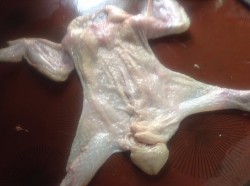 название картинки Курица запеченная мраморная