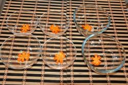 название картинки Куриный холодец из ножек курицы без желатина