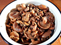 название картинки Куриное филе с грибами на сковороде в сливках