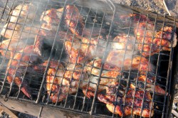 название картинки Куриные крылышки барбекю на мангале