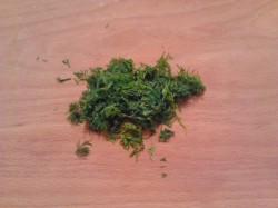 название картинки Куриный бульон с вермишелью