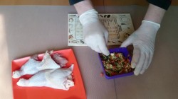 название картинки Куриный окорочок фаршированный овощами