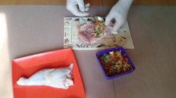 название картинки Куриный окорочок фаршированный овощами