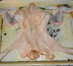 название картинки Новогодняя курица с грибами и блинами