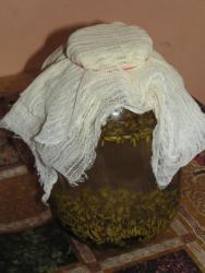 Овсяный квас с изюмом