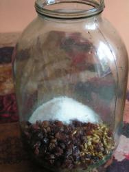 Овсяный квас с изюмом