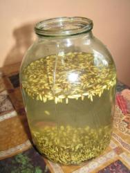 Овсяный квас с изюмом