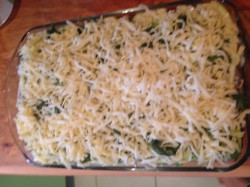 Лазанья из кабачков с грибами