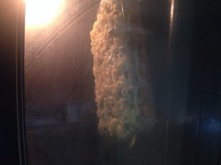 Лазанья из кабачков с грибами