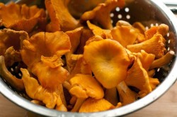 Лазанья с сыром и грибами