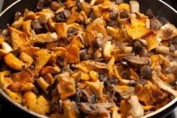 Лазанья с сыром и грибами