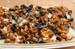 Лазанья с сыром и грибами