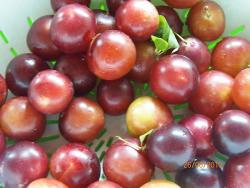 Летний компот