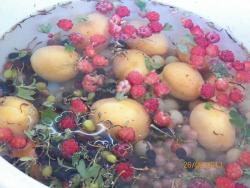 Летний компот