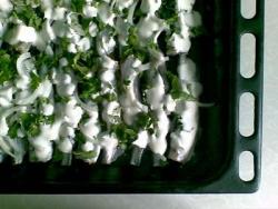 название картинки Лимоновая мойва в духовке