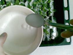 название картинки Лимоновая мойва в духовке