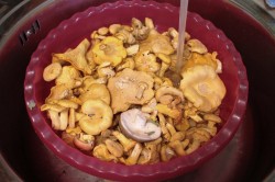 название картинки Лисички жареные на зиму