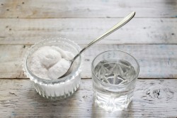 название картинки Лисички на зиму как свежие