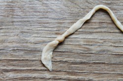 Домашняя колбаса печеночная