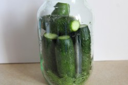 название картинки Малосольные огурцы классические