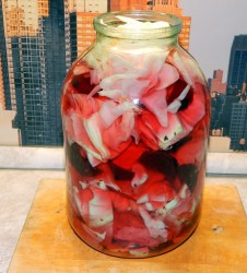 Маринованная капуста крупными кусками со свеклой