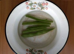 название картинки Маринованная спаржевая фасоль на зиму