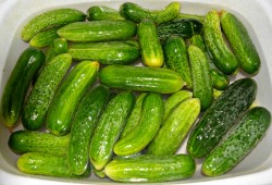 Маринованные огурцы на зиму без стерилизации