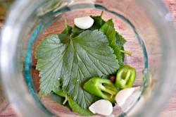 Маринованные огурцы на зиму без стерилизации