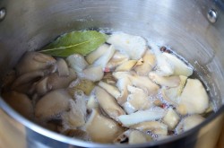 название картинки Маринованные грибы вешенки на зиму - отличная закуска