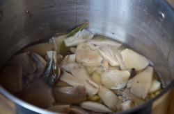 название картинки Маринованные грибы вешенки на зиму - отличная закуска