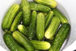 название картинки Маринованные огурцы с луком на зиму