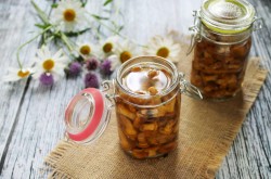 название картинки Маринованные лисички на зиму
