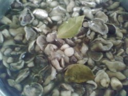 Маринованные маслята в банках