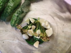 Хрустящие маринованные огурцы с лимонной кислотой на зиму