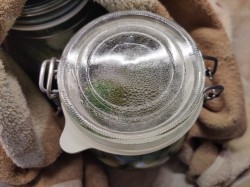 Хрустящие маринованные огурцы с лимонной кислотой на зиму