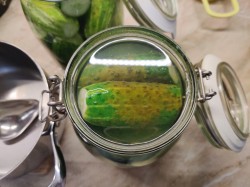 Хрустящие маринованные огурцы с лимонной кислотой на зиму