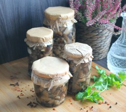 название картинки Маринованные опята в банках на зиму