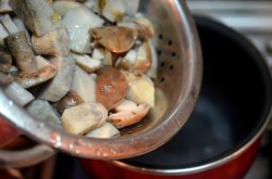 название картинки Маринованные подберезовики на зиму
