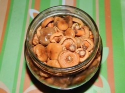 название картинки Маринованные рыжики горячим способом на зиму