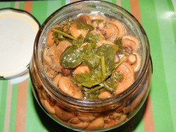 название картинки Маринованные рыжики горячим способом на зиму