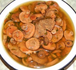 Маринованные рыжики на зиму