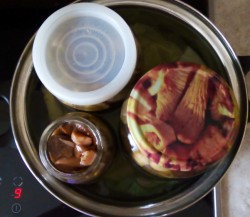 Маринованные рыжики на зиму