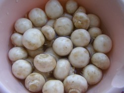 Маринованные шампиньоны на зиму