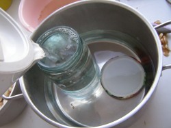 Маринованные шампиньоны на зиму