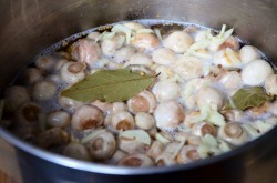 название картинки Маринованные шампиньоны