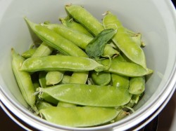 Маринованный горох на зиму домашний