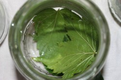 Маринованные огурцы а-ля Globus - шаг 2