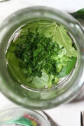 Маринованные огурцы а-ля Globus - шаг 3