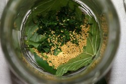 Маринованные огурцы а-ля Globus - шаг 4